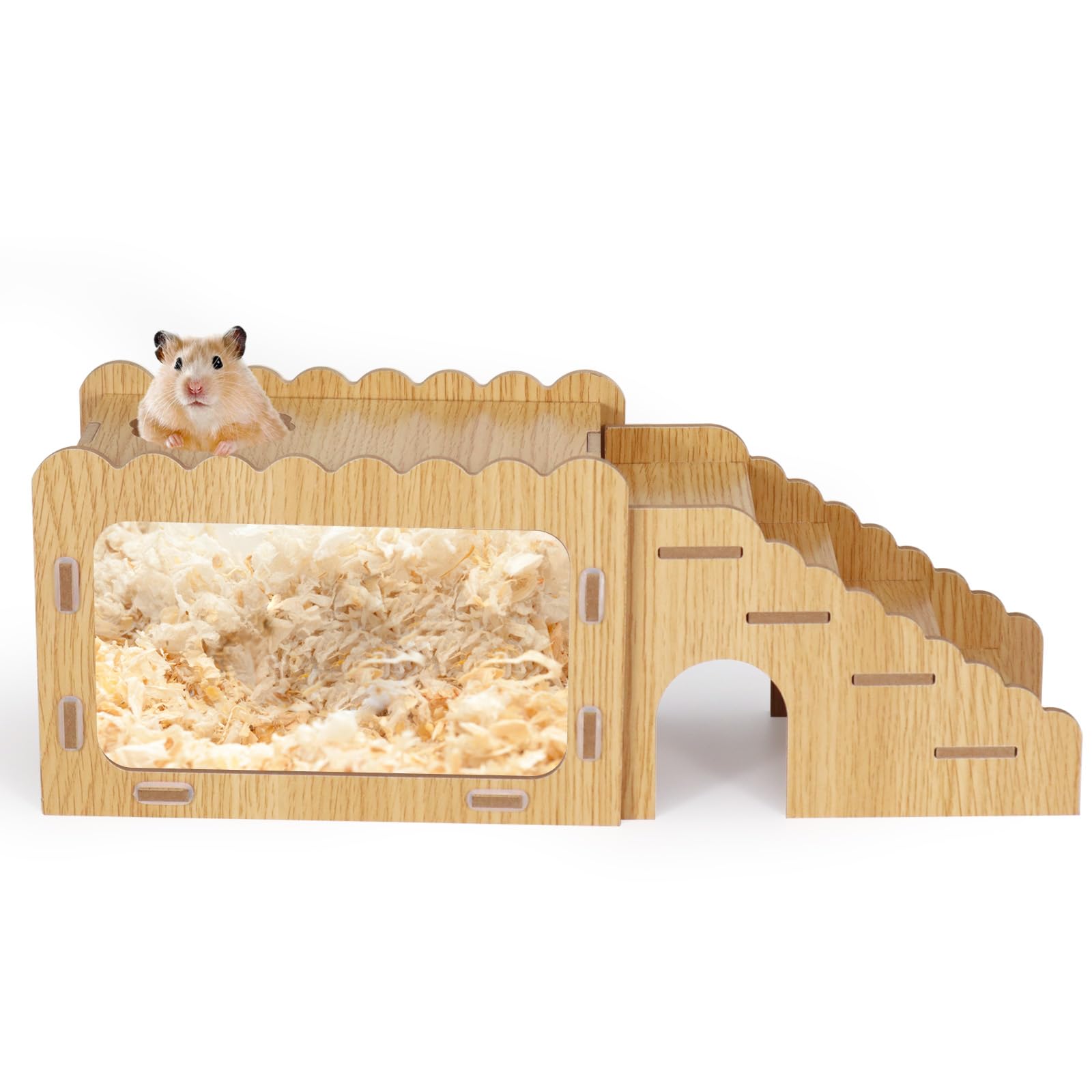 Hamster Hideout and Exploration House - Transparent Acrylic Board, Climbing Ladder, Wooden Digging Toy for Syrian and Guinea Pigs