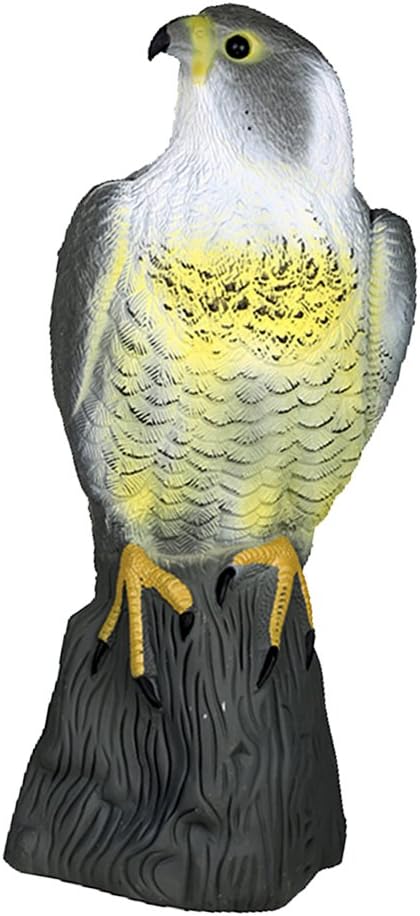 Realistic Falcon Decoy Garden Bird Crow Scarer Scarecrow Weed Pest Control