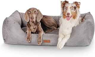 Knuffelwuff Dreamline