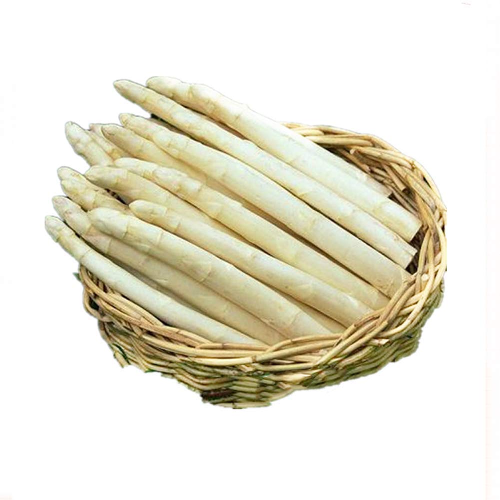 White Asparagus Seeds 30+ Fresh Organic Easy to Grow Premium Plants Vegetables Seeds for Planting Garden Outdoor