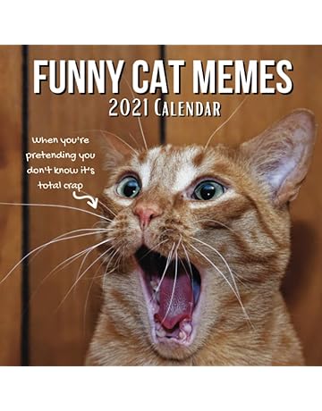 stocking stuffers for cat lovers