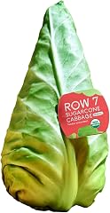 Row 7 Organic Sugarcone Cabbage