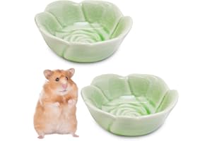 BNOSDM 2 Pcs Hamster Ceramic Food Bowl Flower Series Gerbil Drinking Bowls Anti-Turning Food & Water Dish for Dwarf Syrian Hamsters Gerbil Chinchilla（Green, Rose Pattern）
