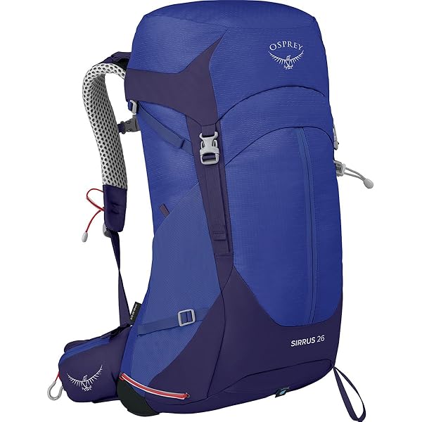 Amazon.com: OSPREY OS50308 Stratos 26, steeshan blue, Free Size