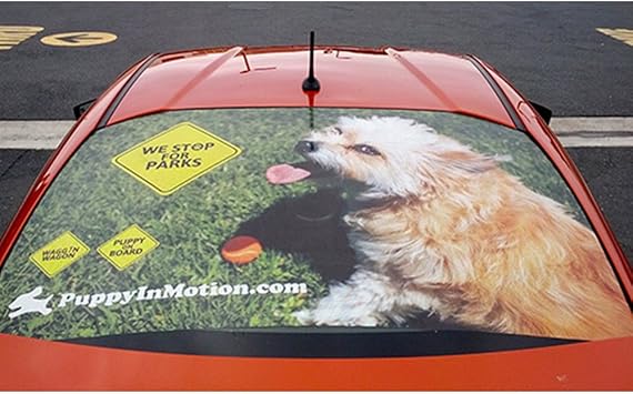 custom made window clings