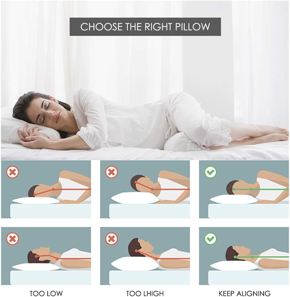 COZSINOOR Cozy Dream Series Hotel Quality Pillows for Sleeping [Set of Two] Premium Plush Fiber, 100% Breathable Cotton Cover Skin-Friendly (Queen Size): Home & Kitchen
