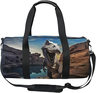 rock luggage amazon