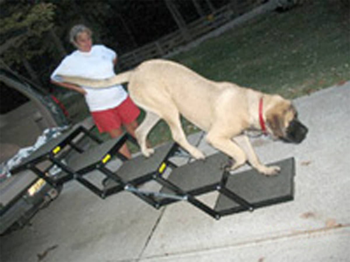 Pet Loader® XL 18" Platform, USA ABS, 5-Step