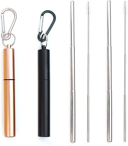 Pailles Réutilisables Pliables En Acier Inoxydable Avec étui En Métal, Brosse à Paille Et Porte-clés Pour Voyage, Camping, Fête, Noir Ou