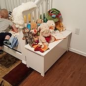 sauder beginnings toy chest