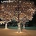 Lampat Solar String Lights, 300 Led Holiday String Lighting Outdoor Solar Patio Lights Fit Christmas Garden Wedding Party Landscape[Warm White], 2 Pack 600 LED