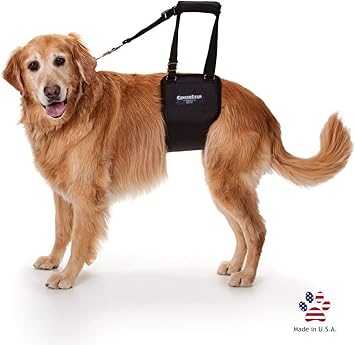 Ginger lead harness Clearance