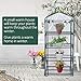 Fdit Transparent Winter Plant Green House Cover for Yard Garden Plant (27.17 x 19.27 x 62.99 inch)