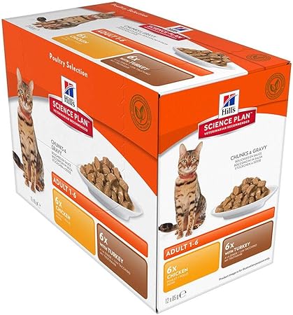 science plan cat food pets at home