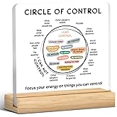 Mental Health Decor, Therapy Office Gifts, Therapy Office Decorations, Therapist Gifts for Women Men, Things I Can Control Acrylic Desk Sign Classroom Decor (4 x 4 Inches)