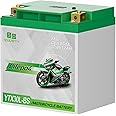 YTX30L-BS Lithium Motorcycle Battery LiFePO4 Engine Start Battery 12.8V 12AH 850 CCA LiFePO4 Engine Start Battery with BMS (Smart Battery Management System) 2500-8000 Life Cycles