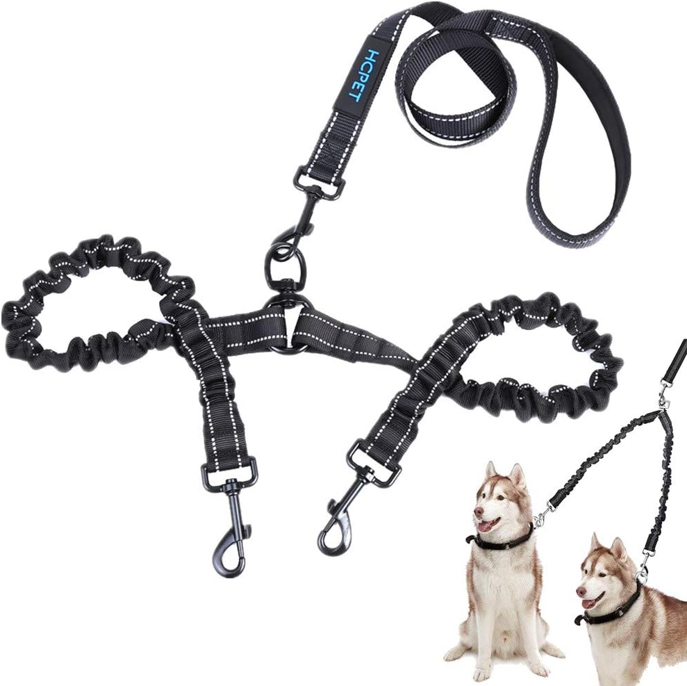 twin dog lead