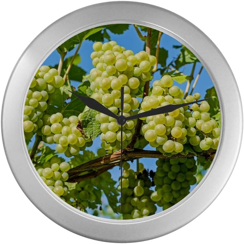 JOCHUAN Quartz Wall Clock Grapes Fruit Vine Grapevine Winegrowing Travel Wall Clock 9.65 Inch Silver Quartz Frame Decor For Office/school/kitchen/living Room/bedroom