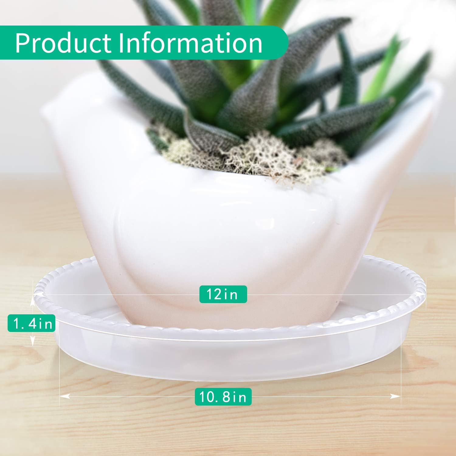 EFFECTEER Plant Saucer, 5 Pack, 12 inch, Round Plant Trays for Indoors, Clear Plastic Plant Pot Saucers, Durable Flower Pots with 5 Plant Labels (12'' - 5 Pack) : Garden & Outdoor