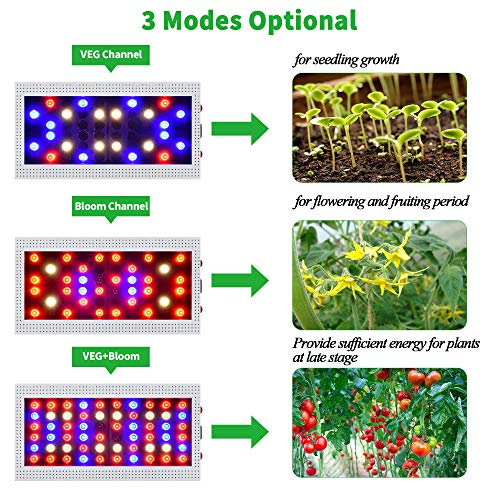 1000W LED Grow Light Full Spectrum Growing Lamps for Hydroponic Indoor Plants Dual Switch(XXF-1000W)
