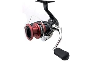 Sienna 4000 FG Clam Sienna