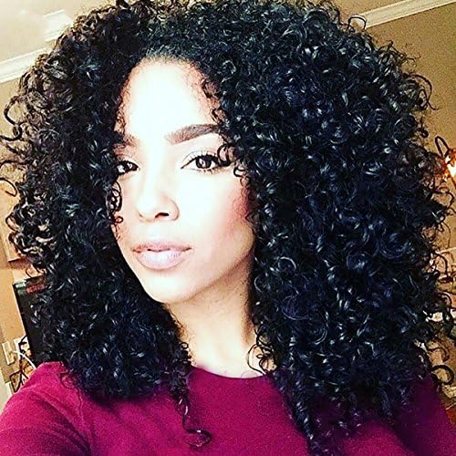 WTB Hair Short Black Wigs Afro Kinky Curly Wigs for Black Women Afreican Amreican Wigs Synthetic Hair Wigs