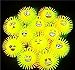 LIGHT UP Emoji Face Puffer Squeeze Balls - 5