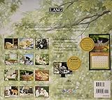 Image de Love of Cats 2018 Calendar