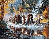 MailingArt Paint By Numbers Kits Horse For Adults Kids With Wooden Frame - Running Horse