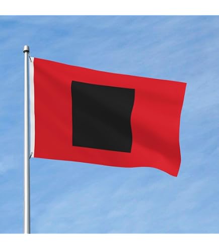 Heavy-Duty Hurricane Warning Flag 3x3 Ft – Official Beach Safety Flag For High Winds, Rough Tex Material With Brass Grommets