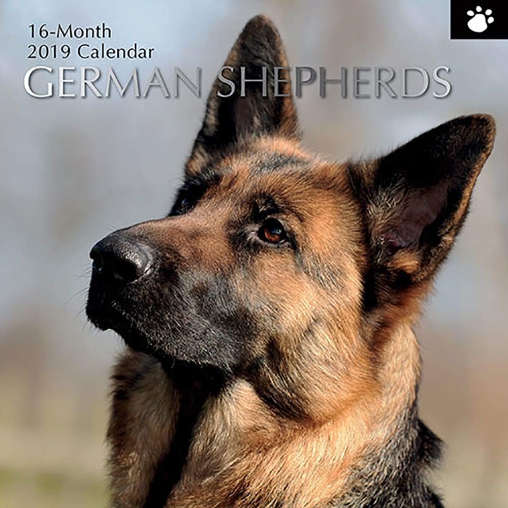 2019 German Shepherds - 12 x 12 Wall Calendar