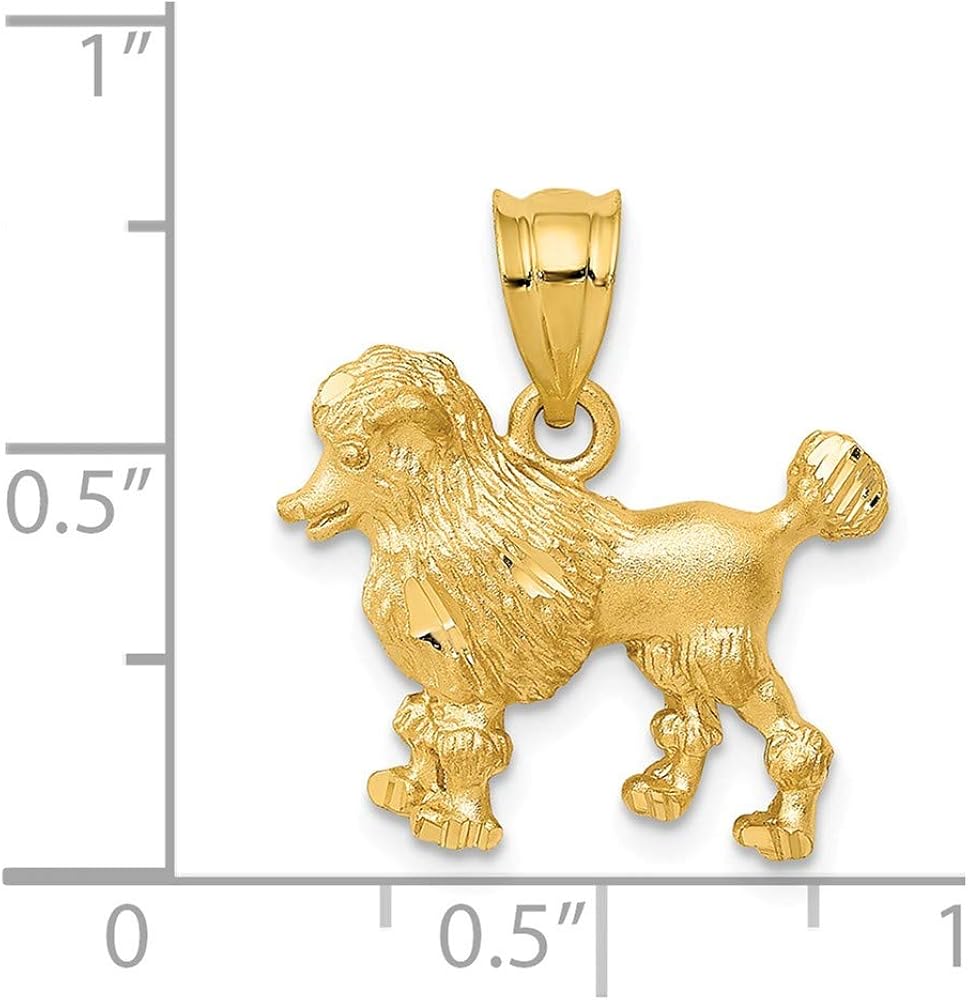 gold poodle