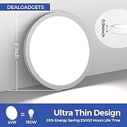 DEALGADGETS Flush Mount Ceiling Light