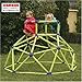 TOYMONSTER LIMITED Eezy Peezy Monkey Bars with Top