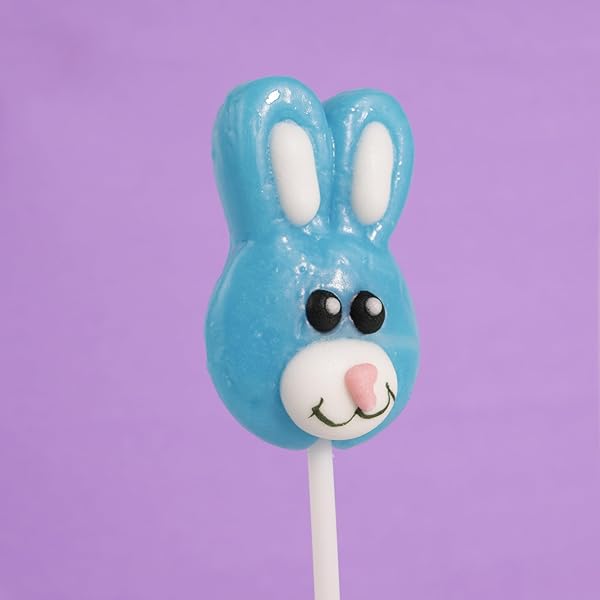 SWEETZO EASTER CANDY BUNNY LOLLIPOPS, INDIVIDUALLY WRAPPED FRUIT FLAVORED SUCKERS, GIFT BASKET STUFFERS (24 COUNT)