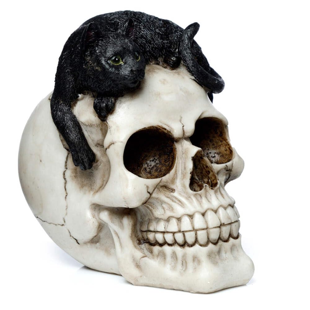 Puckator Skull with Black Cat Ornament - Home Decoration - Skull With Black Cat - Ornaments - Resin - Home Accessories - Living Room Accessories - Human Skeleton - Goth Gifts For Men