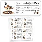 GOMAKERER 180 Pcs Quail Farm Fresh Eggs Sticker, 1x2.64 Inch(2.5x6.7cm) Unwashed Egg Carton Labels PET Adhesive Egg Packaging Stickers for Box Container Carton Farm Supplies