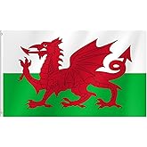 Welsh Flag, 3x5 Ft Welsh Flag, Vivid Color Fade Resistant With Brass Grommets for Party Parades Sports Events Patriotic Holidays Outdoor Indoor Decorations