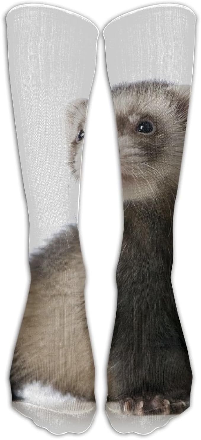 Amazon.com: Every Day Is Special Cute Ferret Compression Socks Sports