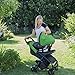 Graco Verb Click Connect Stroller, Fern