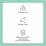 Mario Badescu Seaweed Night Cream 1 oz Moisturizer for All Skin Types view 5