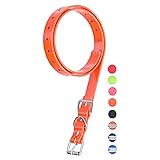 Dog Collar Strap for Most of Electronic Training