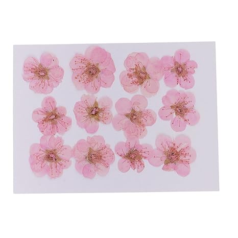 Hogar Y Cocina Decoracion De Pared Hogar Y Cocina Ipotch 12 Piezas