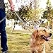 Pettom Dog Chain Leash Metal Dog Lead Training Steel Rope Heavy Duty Chew Proof Leash with Padded Handle for Medium Large Dogs (4' /2.0mm Small Chain)