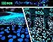 CHASOEA 100 pcs Man-made Glow Pebbles Stones Glow in the Dark Stones Garden Decor Glow Gravel Stones for Garden Walkway And Fish Tank Decoration,And Children Play Games