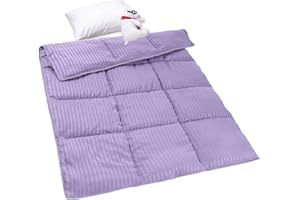 ZPECC Toddler Down Alternative Comforter, 39x47 Hypoallergenic Baby Blanket Quilt, Soft Breathable Lightweight All Season Kids Duvet Insert for Crib Stroller Cot Daycare, Purple Stripe