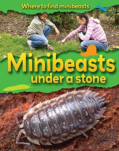 Minibeasts Under a Stone (Where to Find Minibeasts) Paperback – 28 July 2011