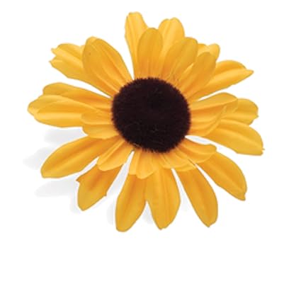 Electra Bicycle Fahrrad Blume Lenker Sonnenblume, 328633E