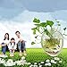 Kathson Home Decoration Pot Wall Hanging Mount Bubble Aquarium Bowl Fish Tank Aquarium