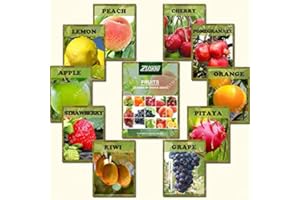 ZLKING 10 Varieties 550PCS Mixed Organic Fruit Tree Seeds Sweet Candied Fruit Non-Gmo Vegetable Plant Seeds For Home Garden